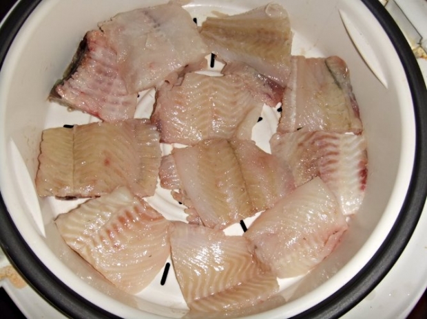 введение прикорма рыба