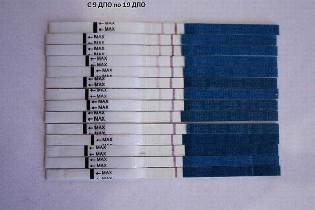 Рост показателей ХЧГ по тесту на беременность по дням после оплодотворения