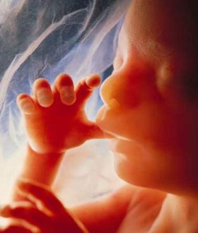 Фото плода на 11 неделе беременности (возраст плода 10 недель)