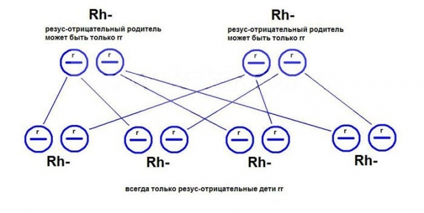 Мать и отец оба резус-отрицательные, варианты резуса у ребенка