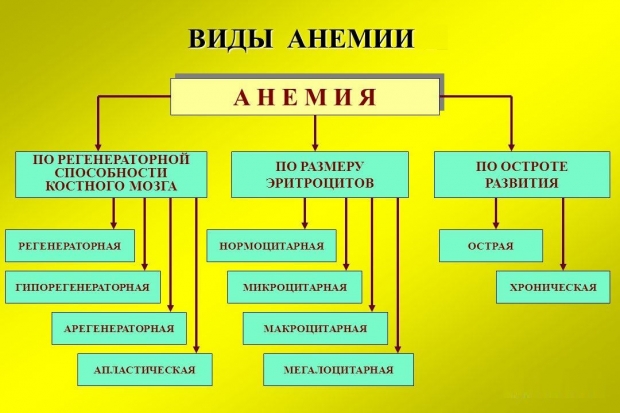 виды анемии