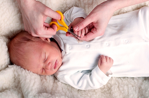 Первое утро новорожденного дома