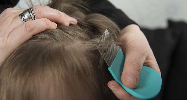 Лечение педикулеза у детей