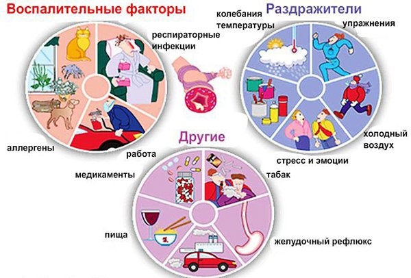 кровь на аллергены