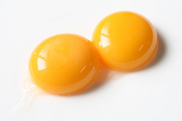 Состав желтка