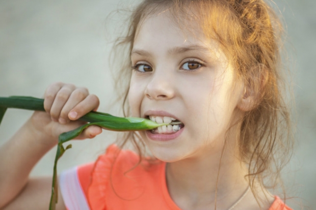 С какого возраста детям можно лук